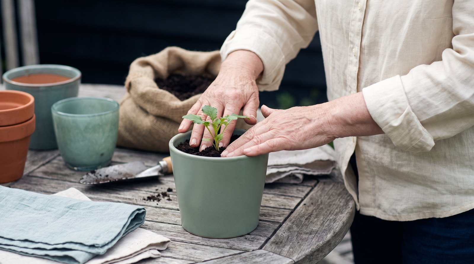 Hands potting a plant